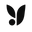 YSLA logo